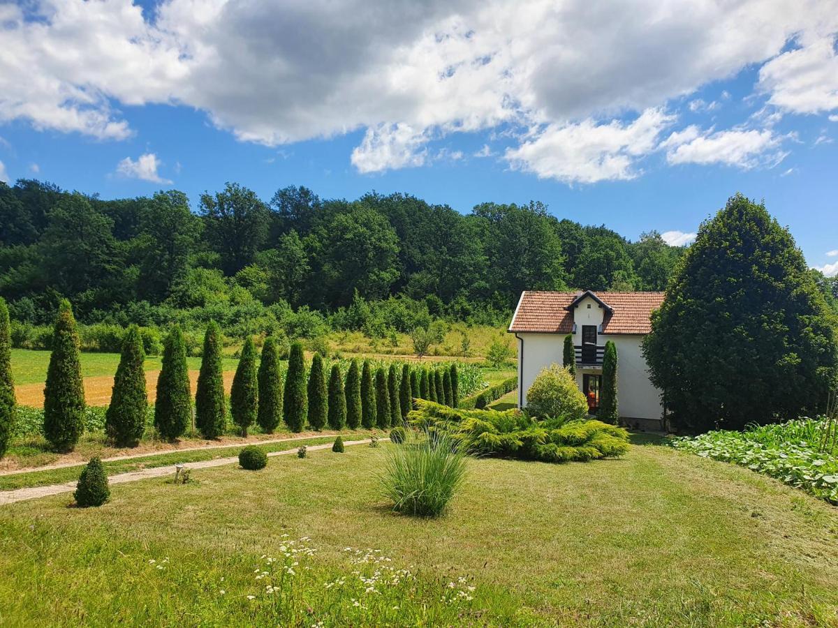 Zelena Dolina-green Valley Holiday home