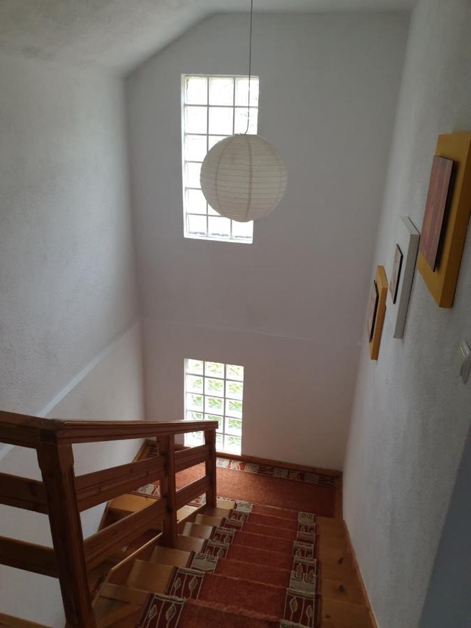 Zelena Dolina-green Valley Holiday home *